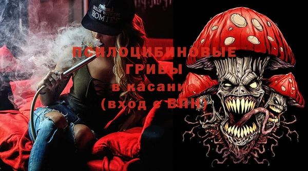молекула духа Алексин