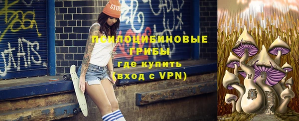 молекула духа Алексин