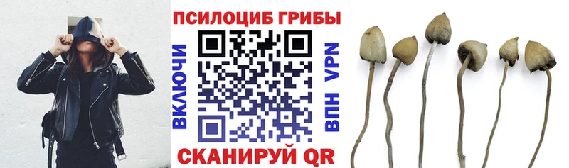 мориарти состав  Березники  Галлюциногенные грибы Magic Shrooms  закладки 